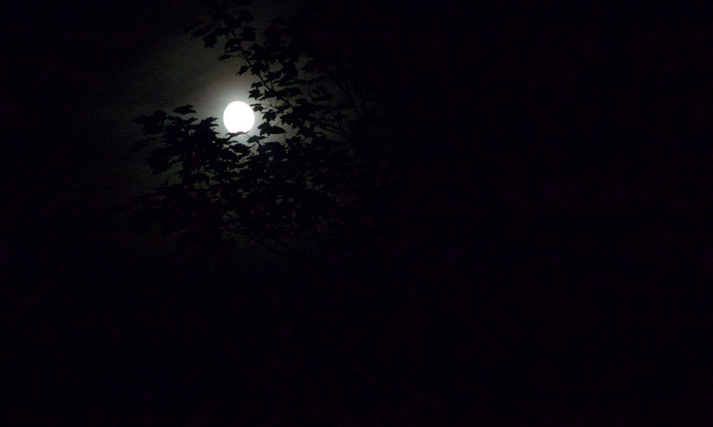 Milky moonlight in the night sky.