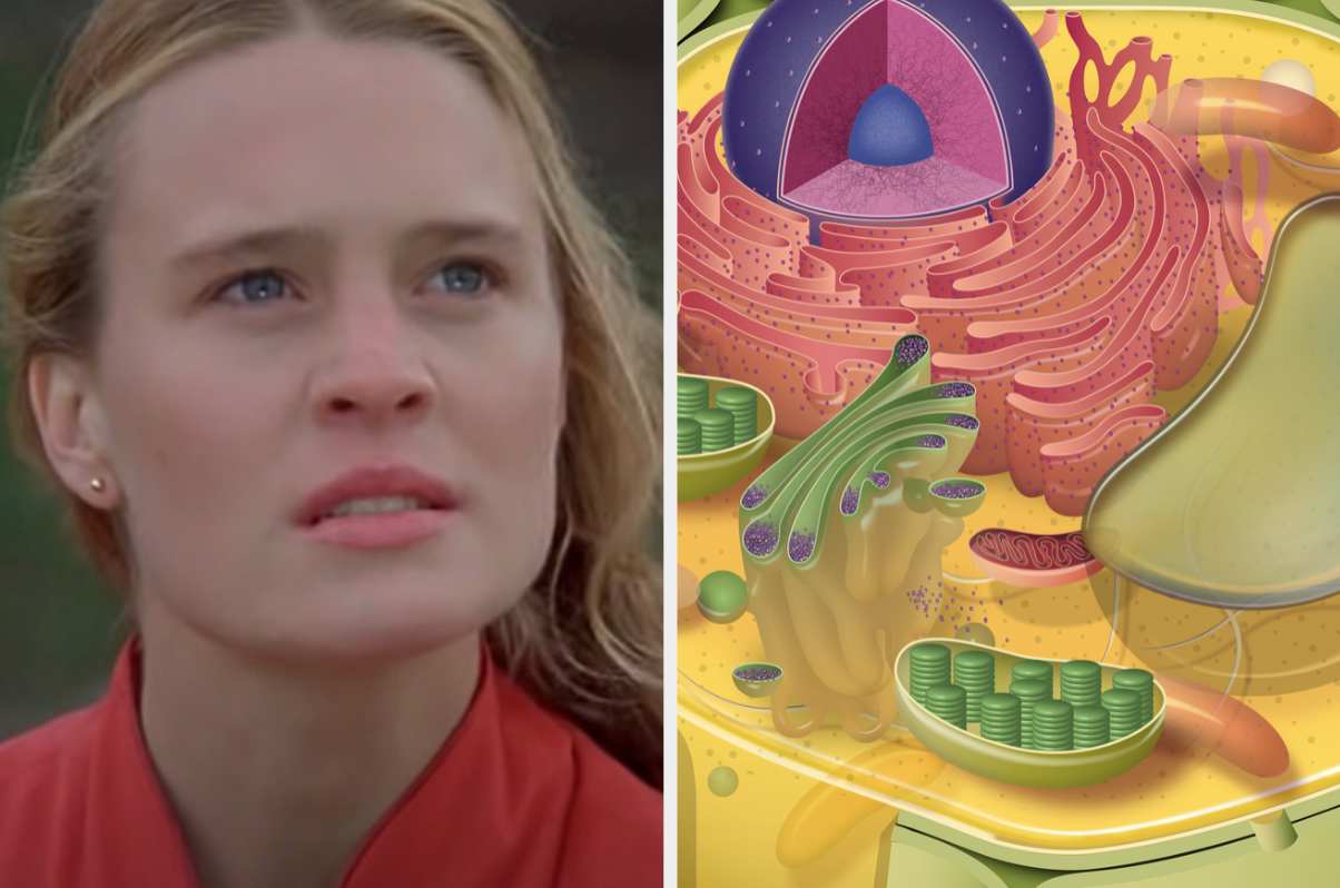 &quot;The Princess Bride&quot; and plant cell 