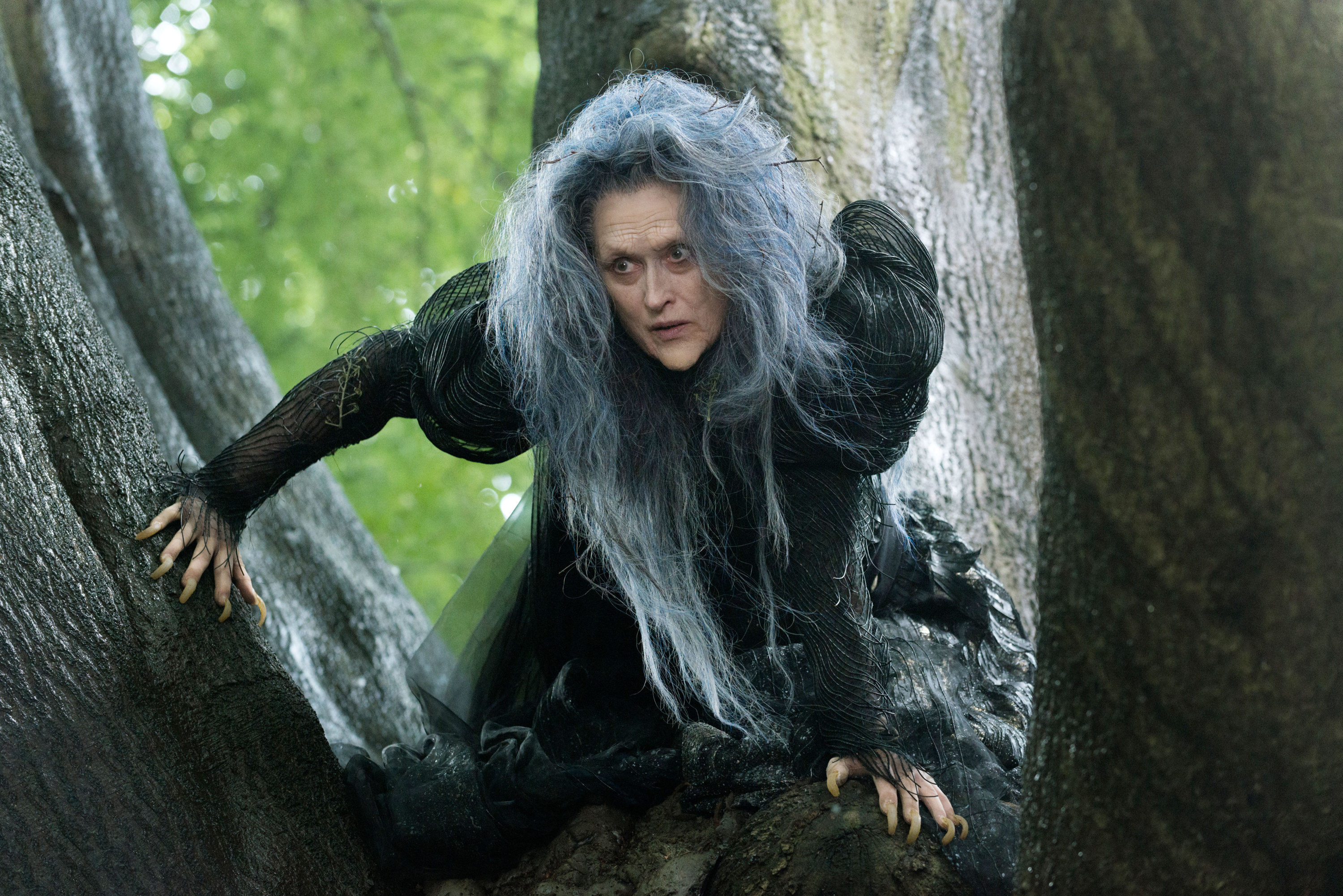 Meryl Streep as the Witch