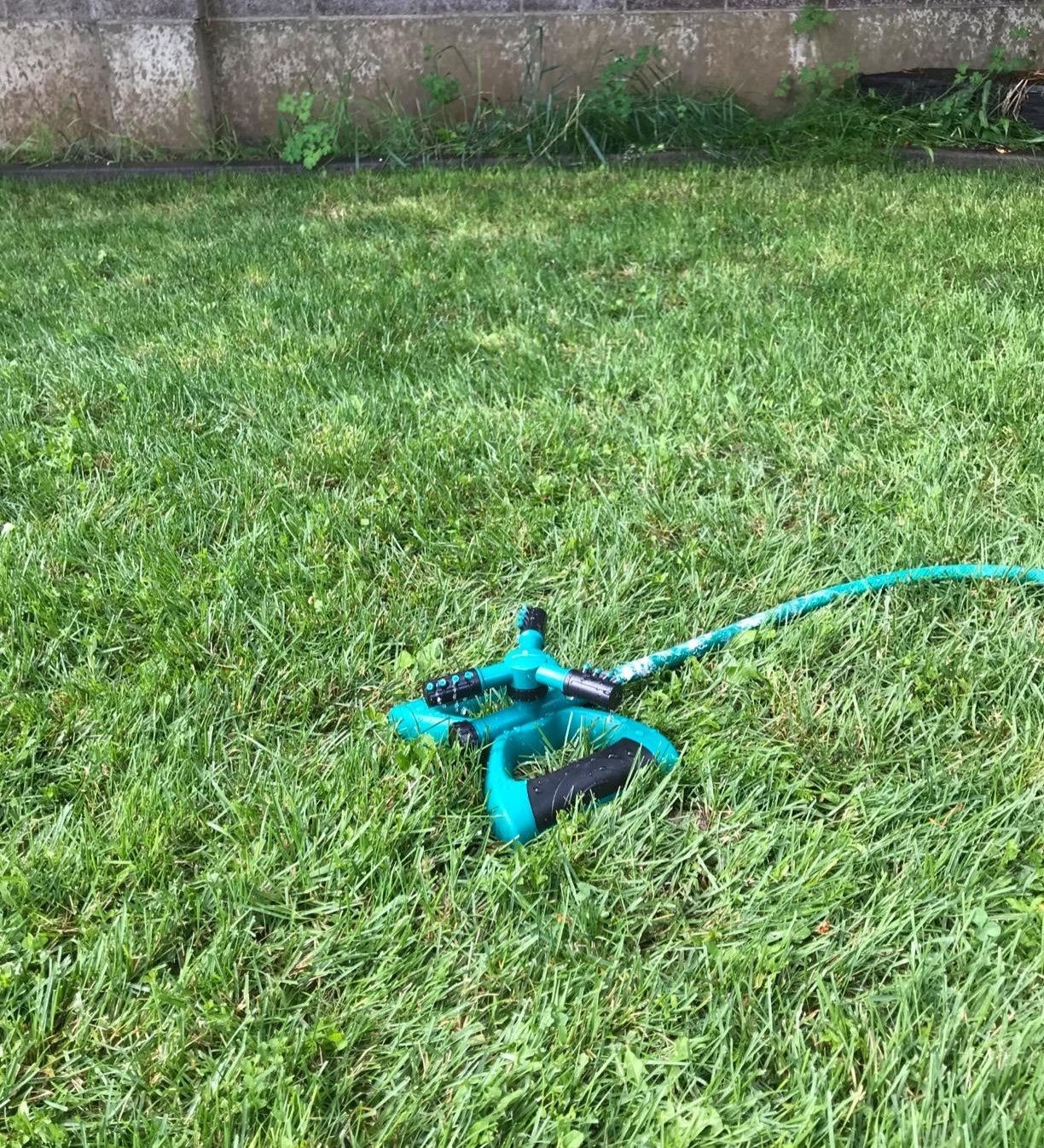 The sprinkler on grass