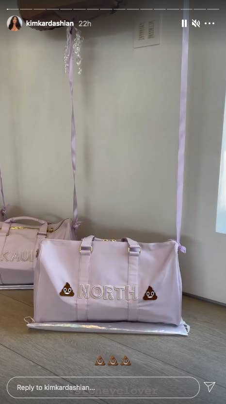 A pink duffel bag with &quot;North&quot; sewn onto the side is pictured