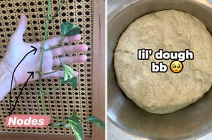 Watering plants; kneading dough