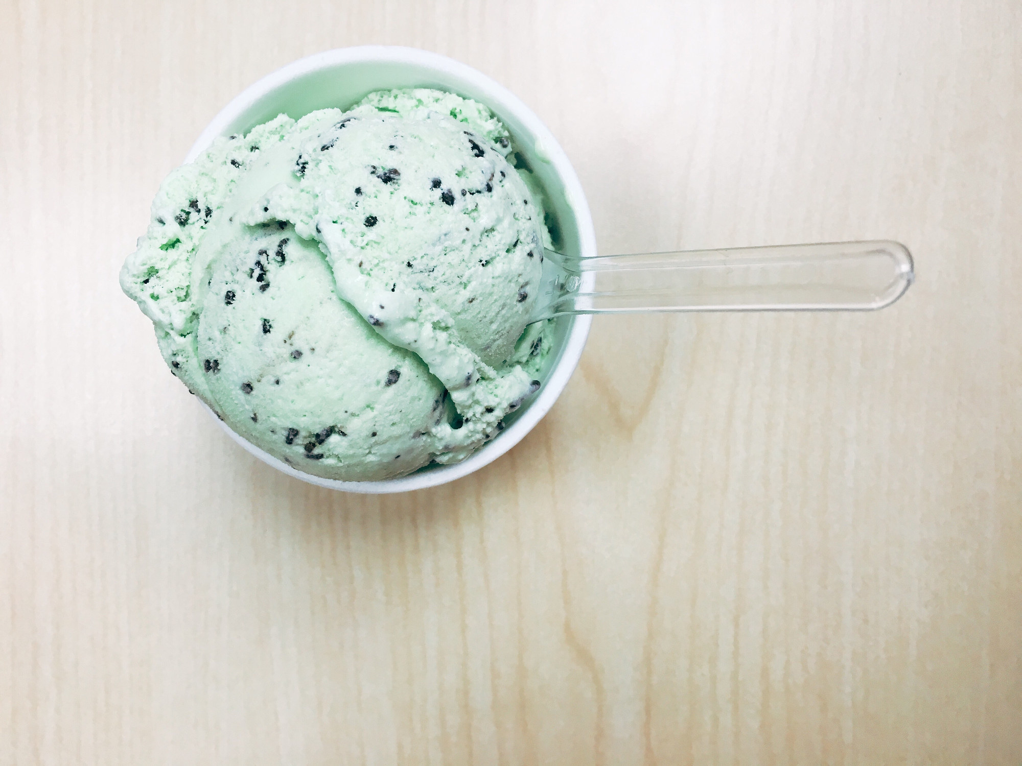 A bowl of mint chocolate chip ice cream