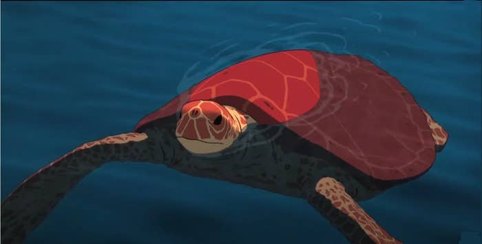 A red colored turtle in the ocean