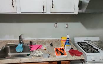 a reviewer photo of a kitchen with a plain painted wall behind the countertops 