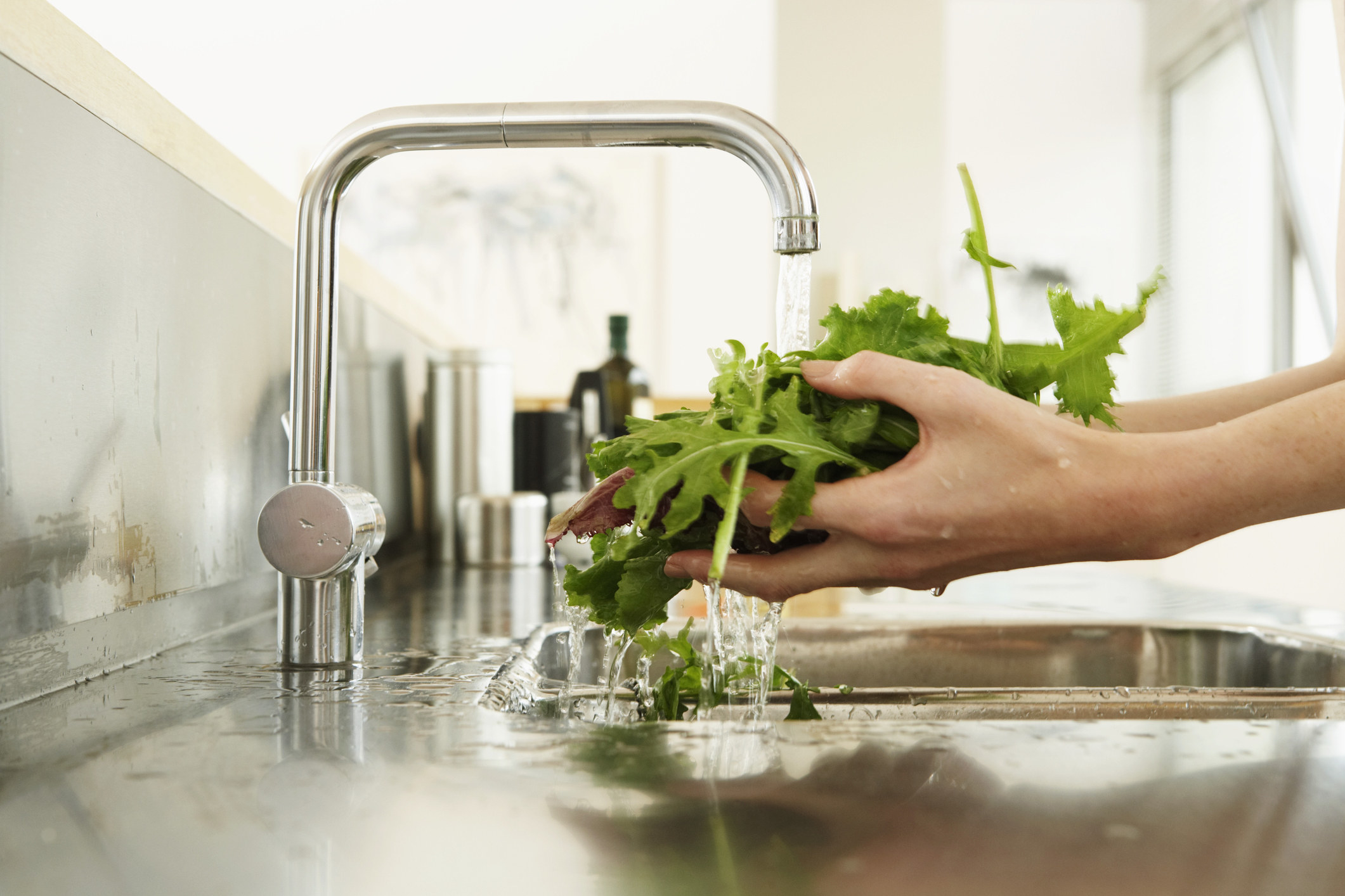 A woman washing lettuce in the sink.