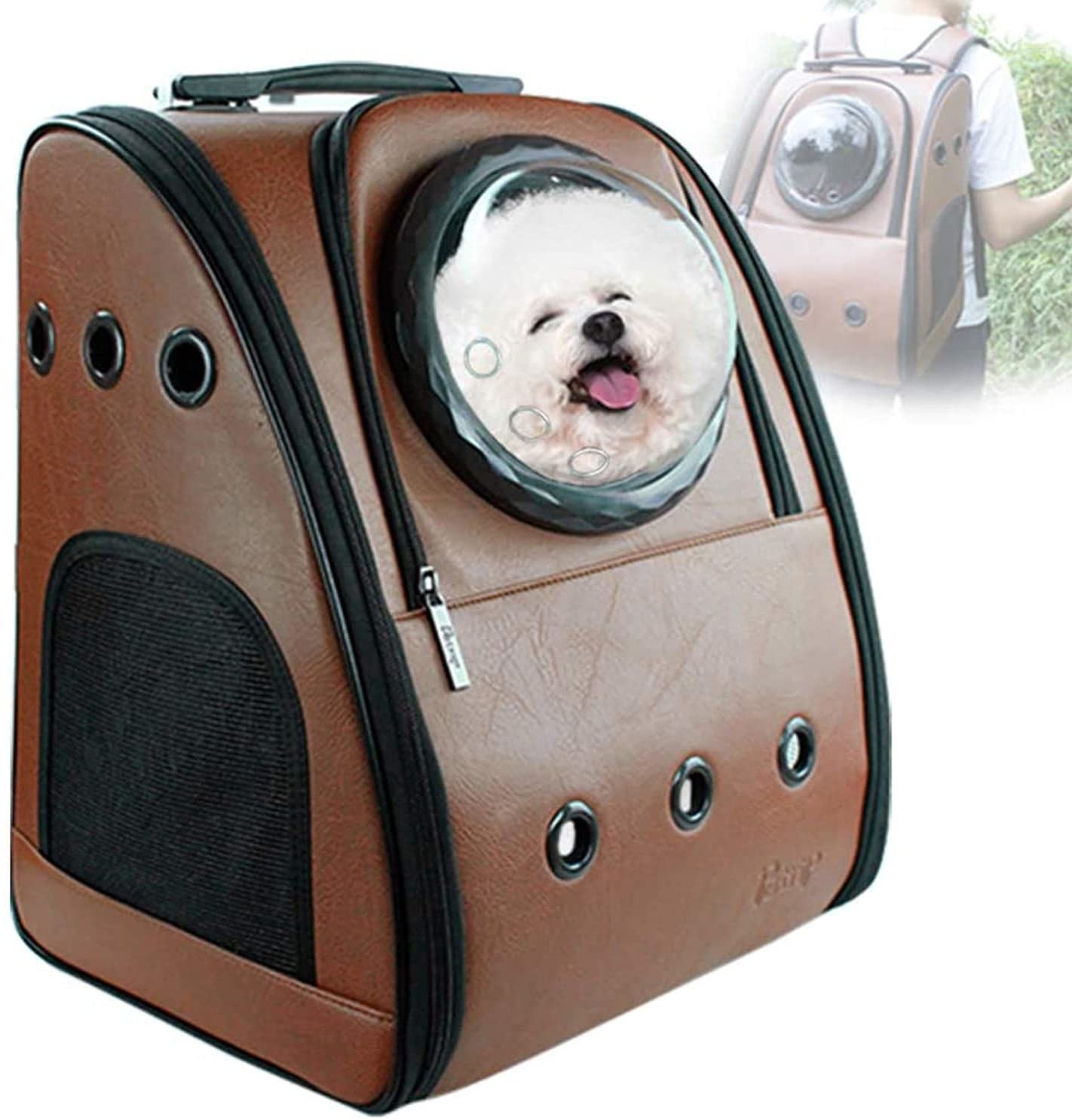 Dog in backpack 