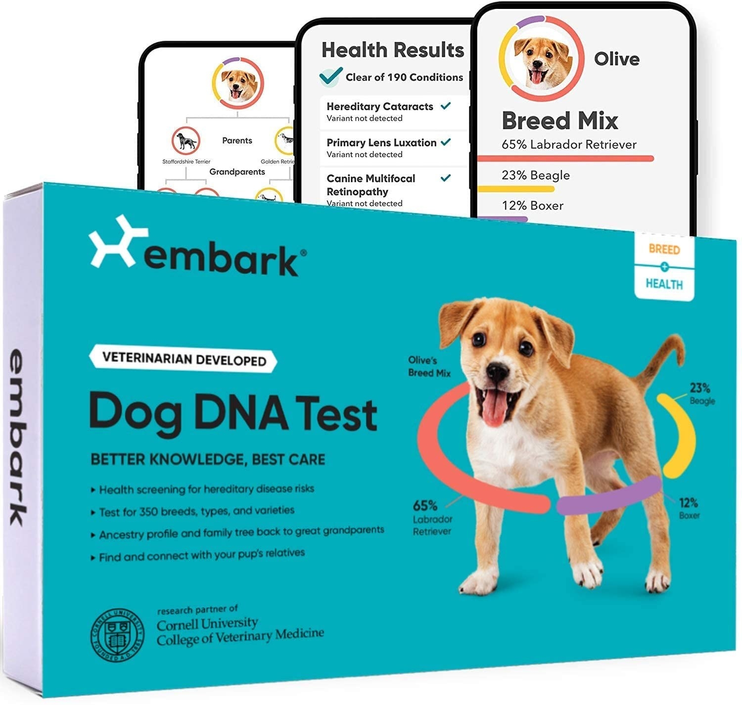 DNA test box and results on phone