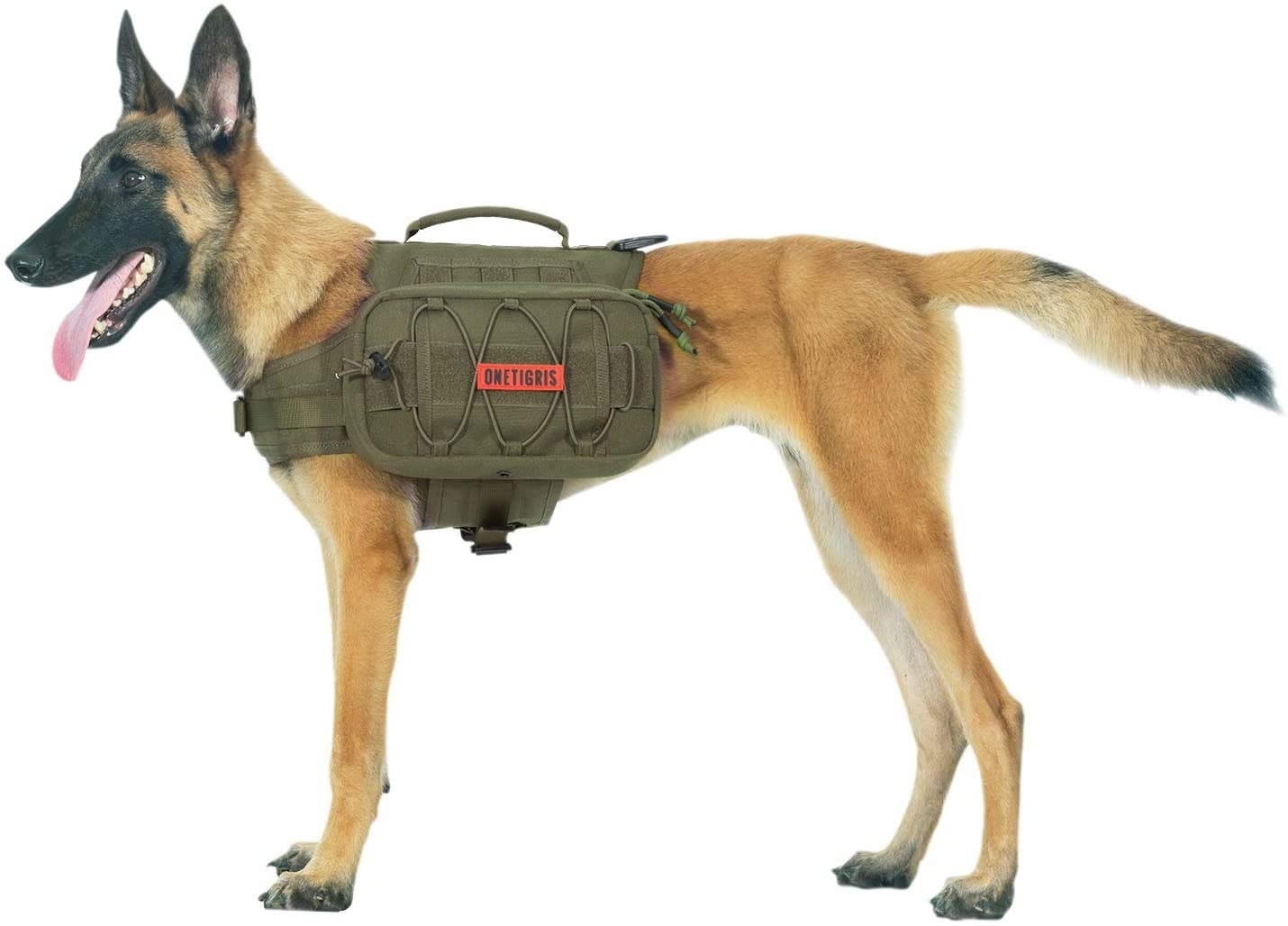 Dog with hiking backpack clipped to it&#x27;s body