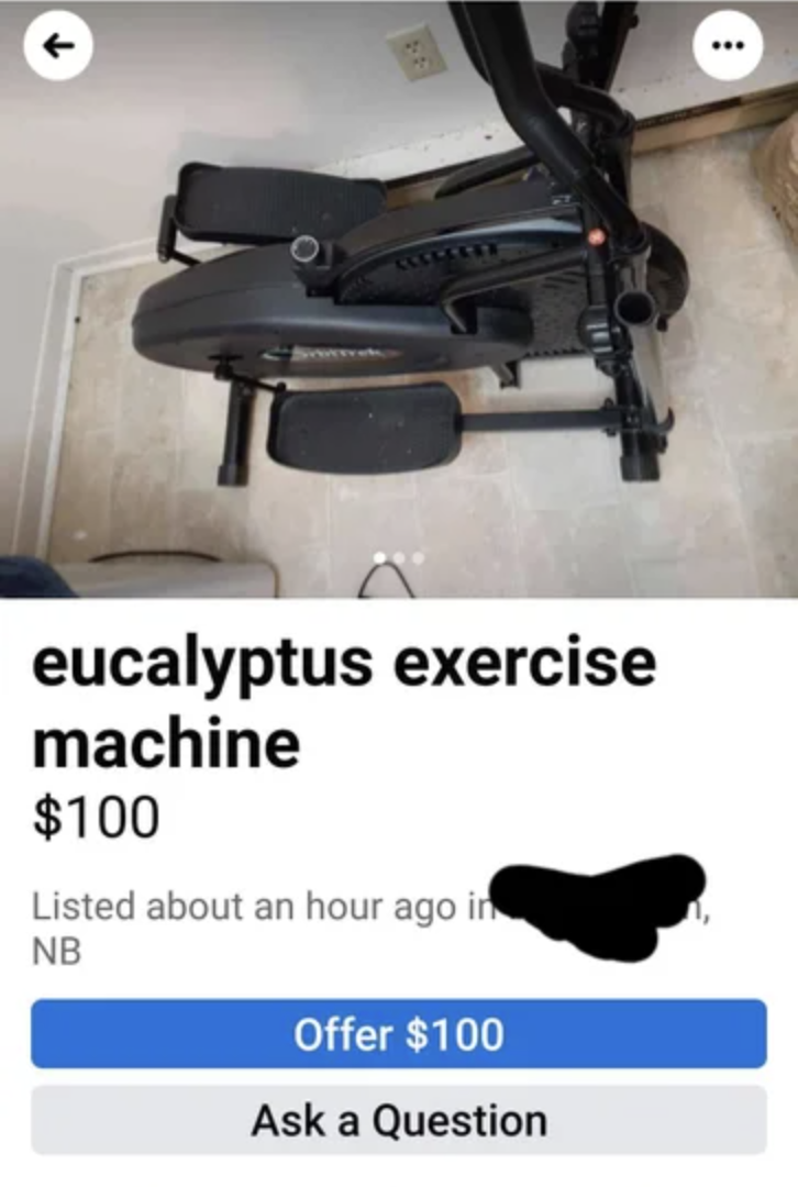 marketplace ad reading eucalyptus exercise machines