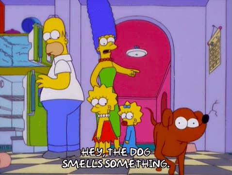 Marge Simpson pointing at a dog saying, &quot;Hey, the dog smells something&quot;