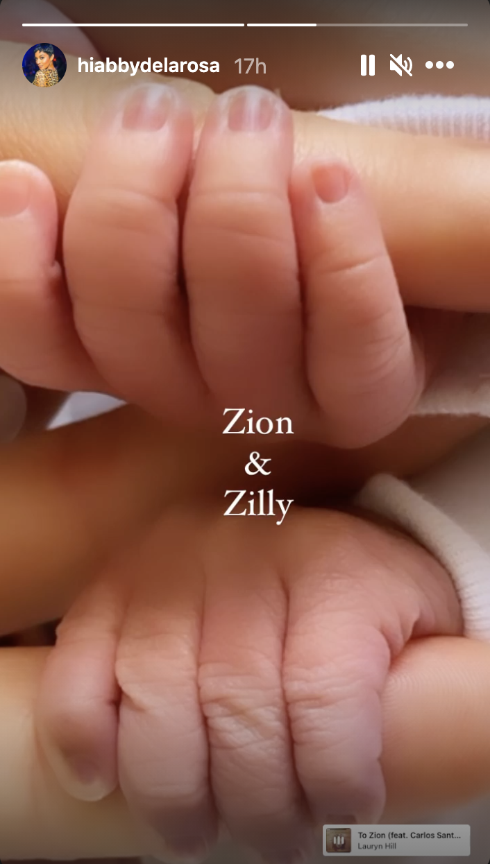 艾比德·拉·罗萨股票的照片她的双胞胎男孩# x27;小的手