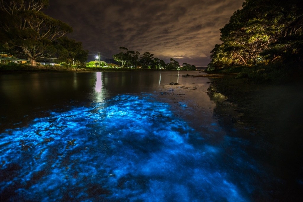Indian River Lagoon with fluorescent blue waters