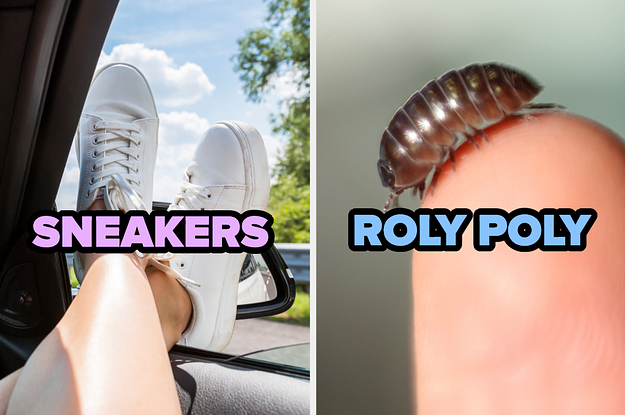 For Scientific Purposes, I Need To Know What You Call These Things For Scientific Purposes, I Need To Know What You Call These Things