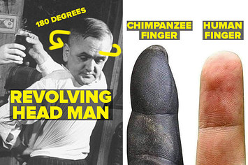 Revolving head man turning his head 180 degrees, and a chimp finger versus a human finger