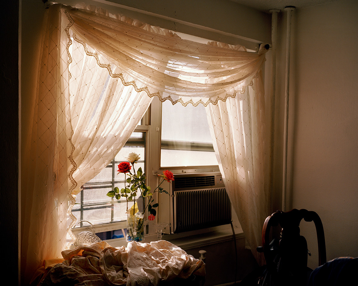 Sunlight through lace curtains on a window with roses and an AC in the foreground