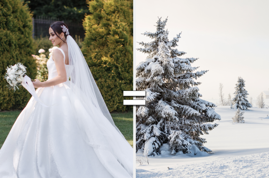 Woman in wedding dress equals winter scene 