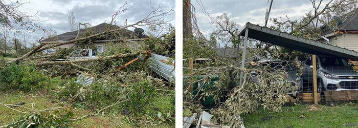 Felled trees are on the ground, and a car park has fallen onto two cars