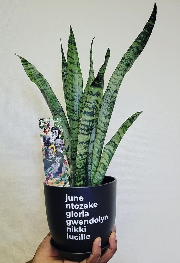 a black planter with the first names listed out in white. from top to bottom, the names are: june, ntozake, gloria, Gwendolyn, nikki, and lucille