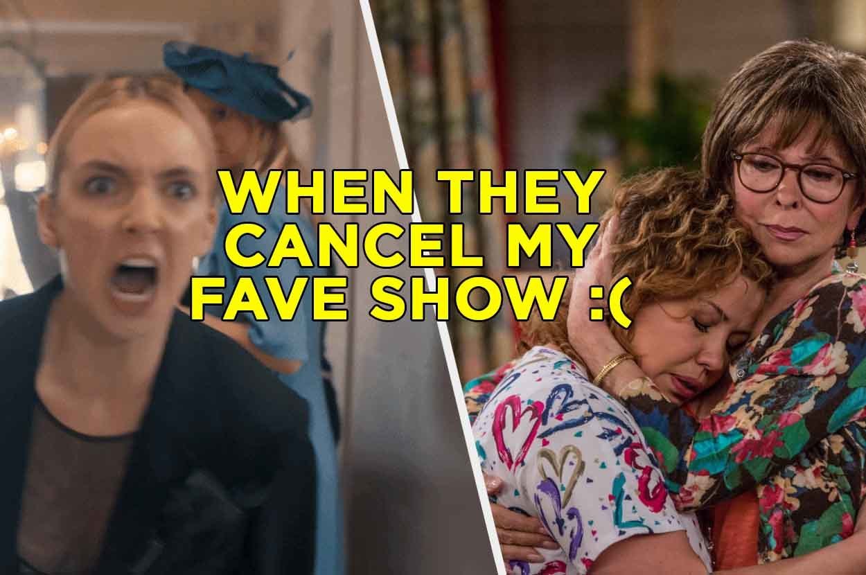 Canceled Shows Poll: Did These Shows End Too Early?