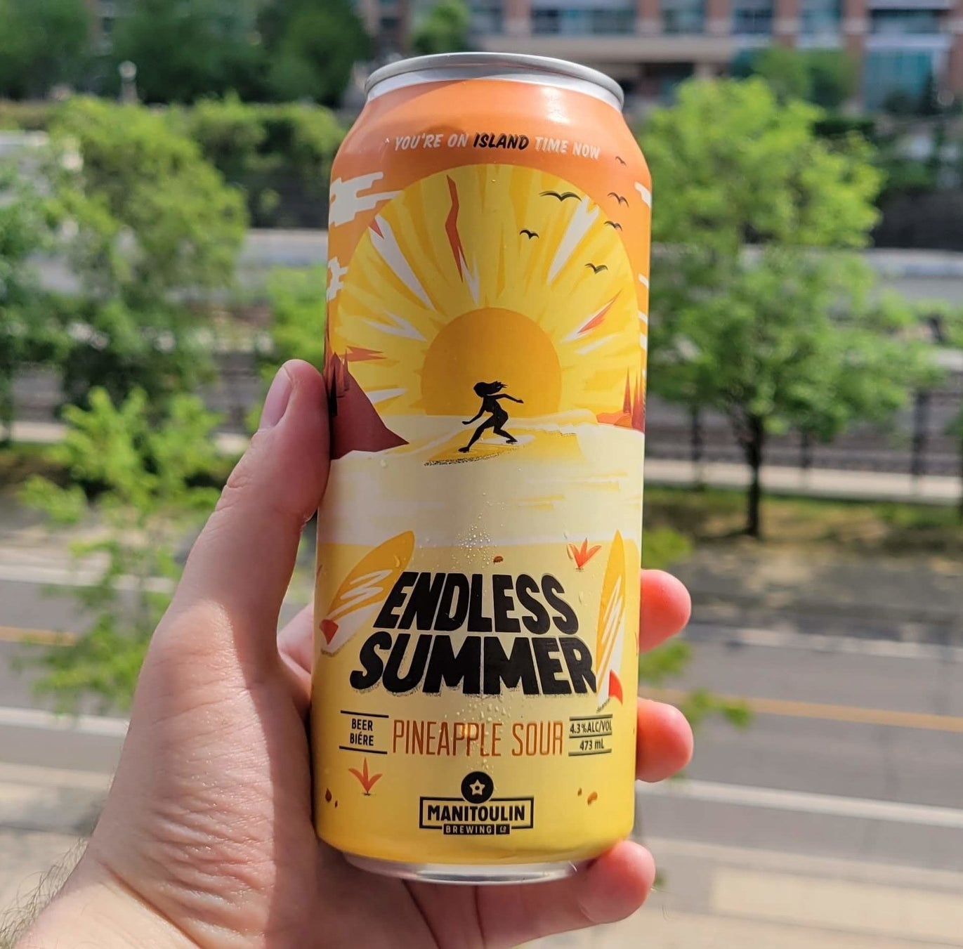 A can of Endless Summer being held in a hand.