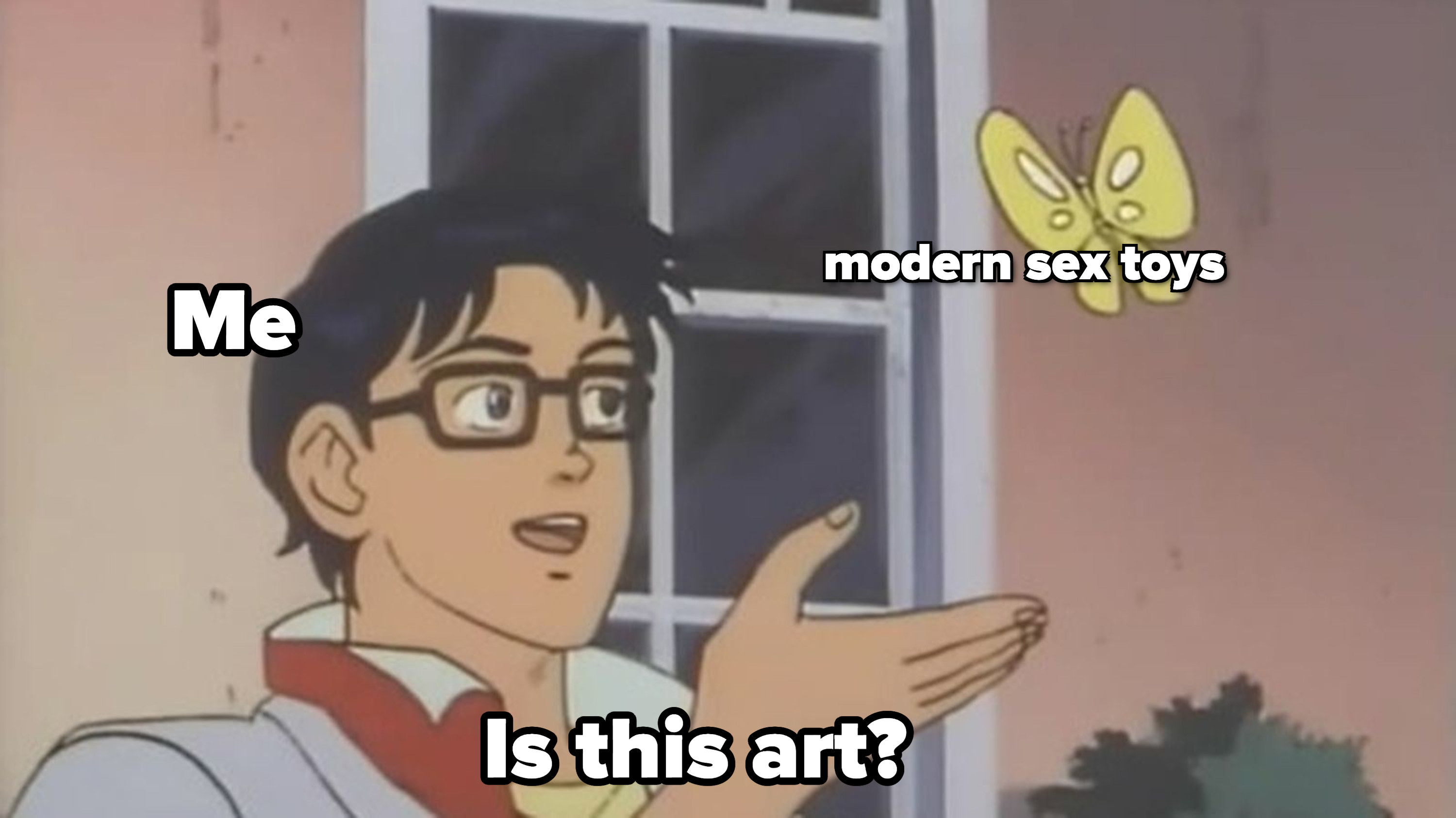 Confused person pointing to butterfly labeled modern sex toys and asking is this art