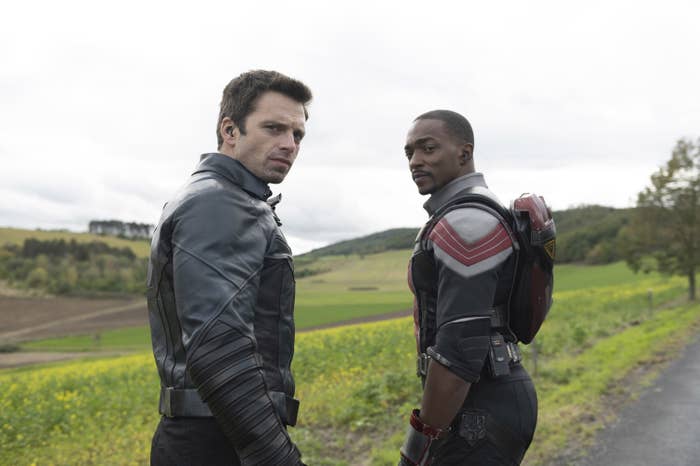 Sam and Bucky look back while walking in a grassy field