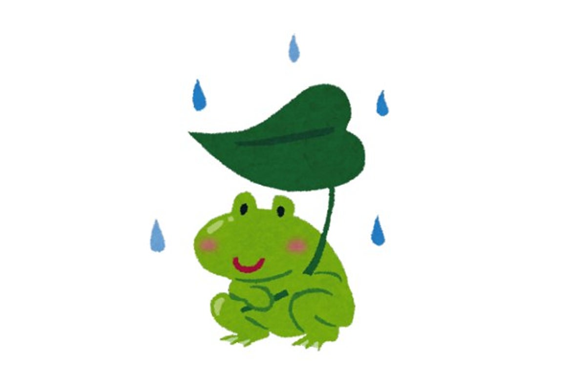 大切な衣服にカビが を防ぐ 梅雨がくる前にしておきたい 湿気対策 12選 大切な衣服にカビが を防ぐ 梅雨がくる前にしておきたい 湿気対策 12選