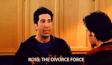 Ross from &quot;Friends&quot; saying &quot;Ross: the divorce force&quot;