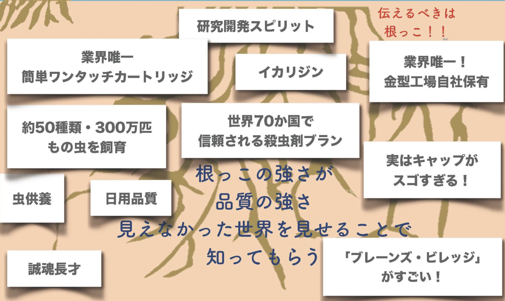 見たことのない景色にチャレンジしたい 株式会社tokio副社長 国分太一 最近のビジネスを語る