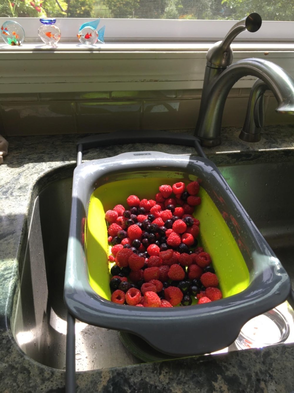 the strainer in green and gray draining berries