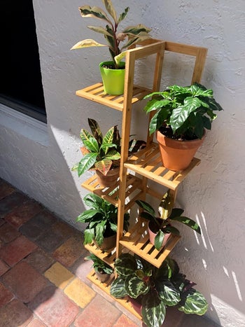 another reviewer's tired plant stand in the sun