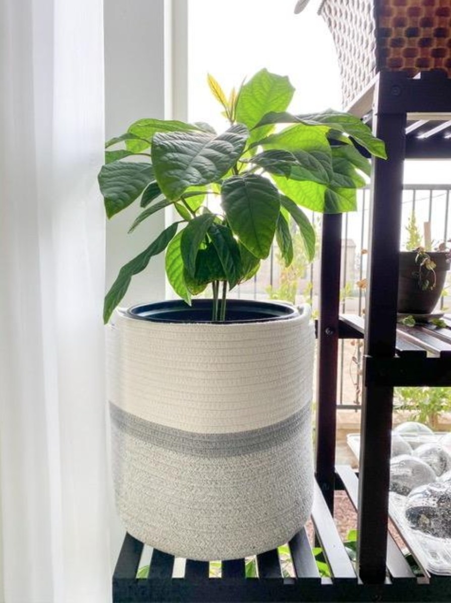 One of the rope planters in white and gray