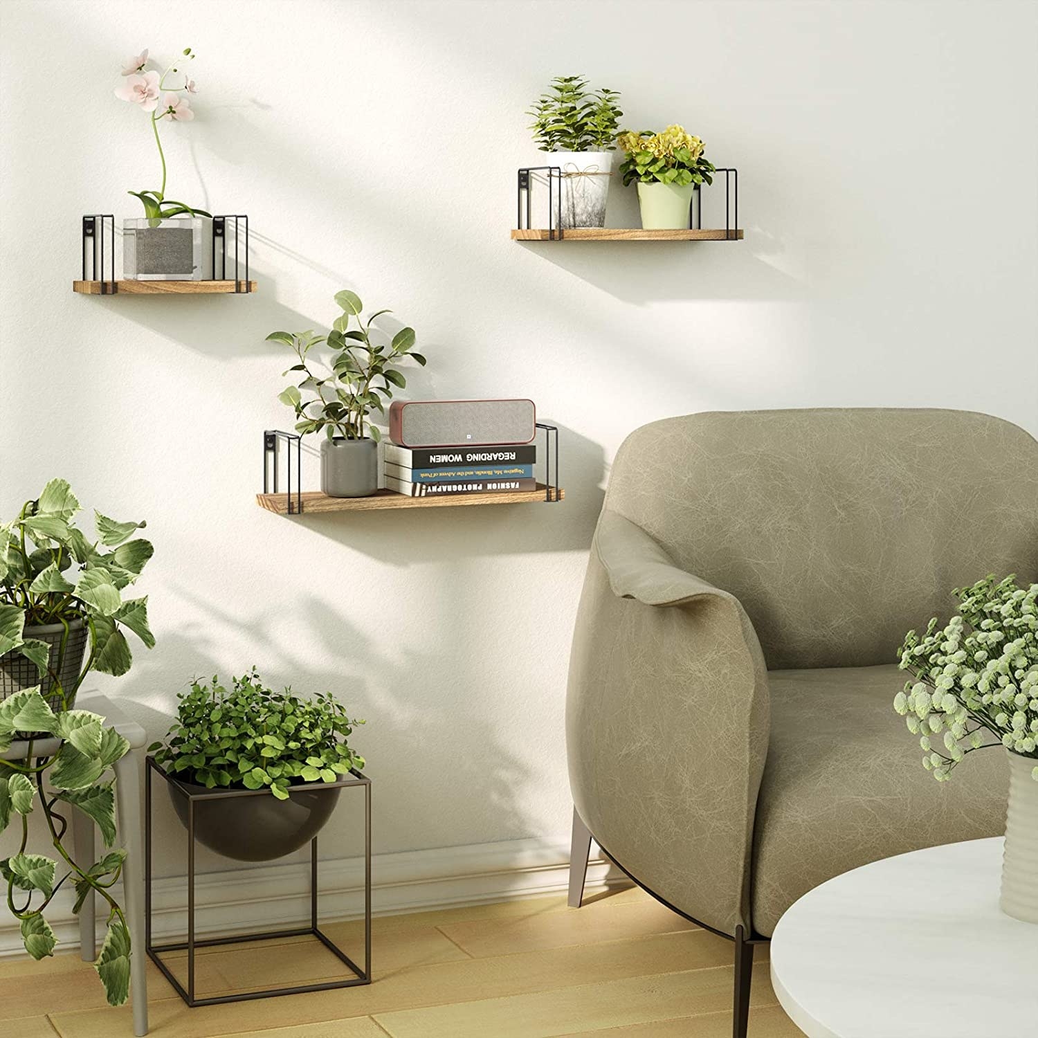 the shelves on a wall with plants and books on it