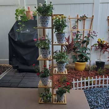 the tall tiered plant stand