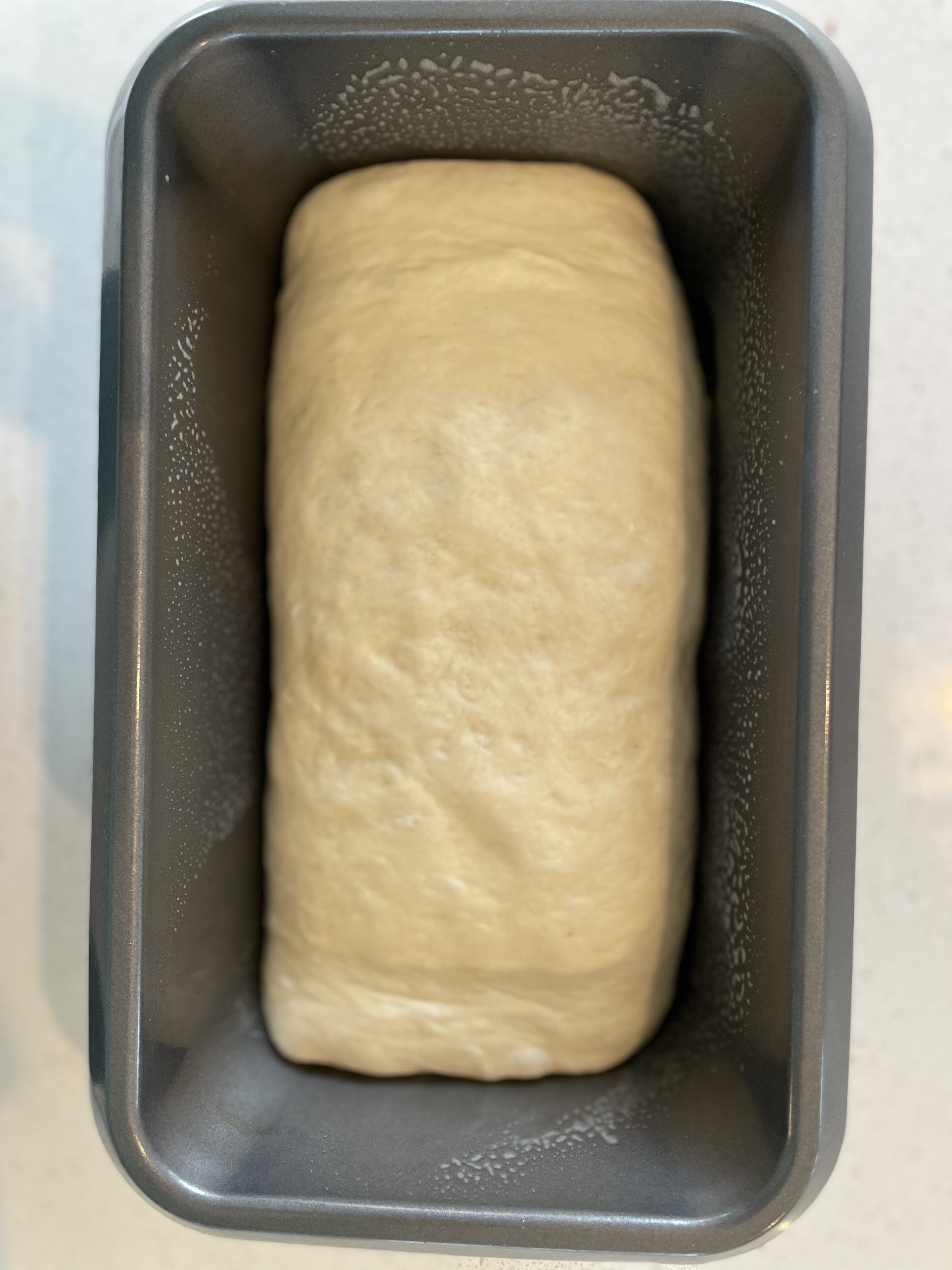 Raw dough in a loaf pan