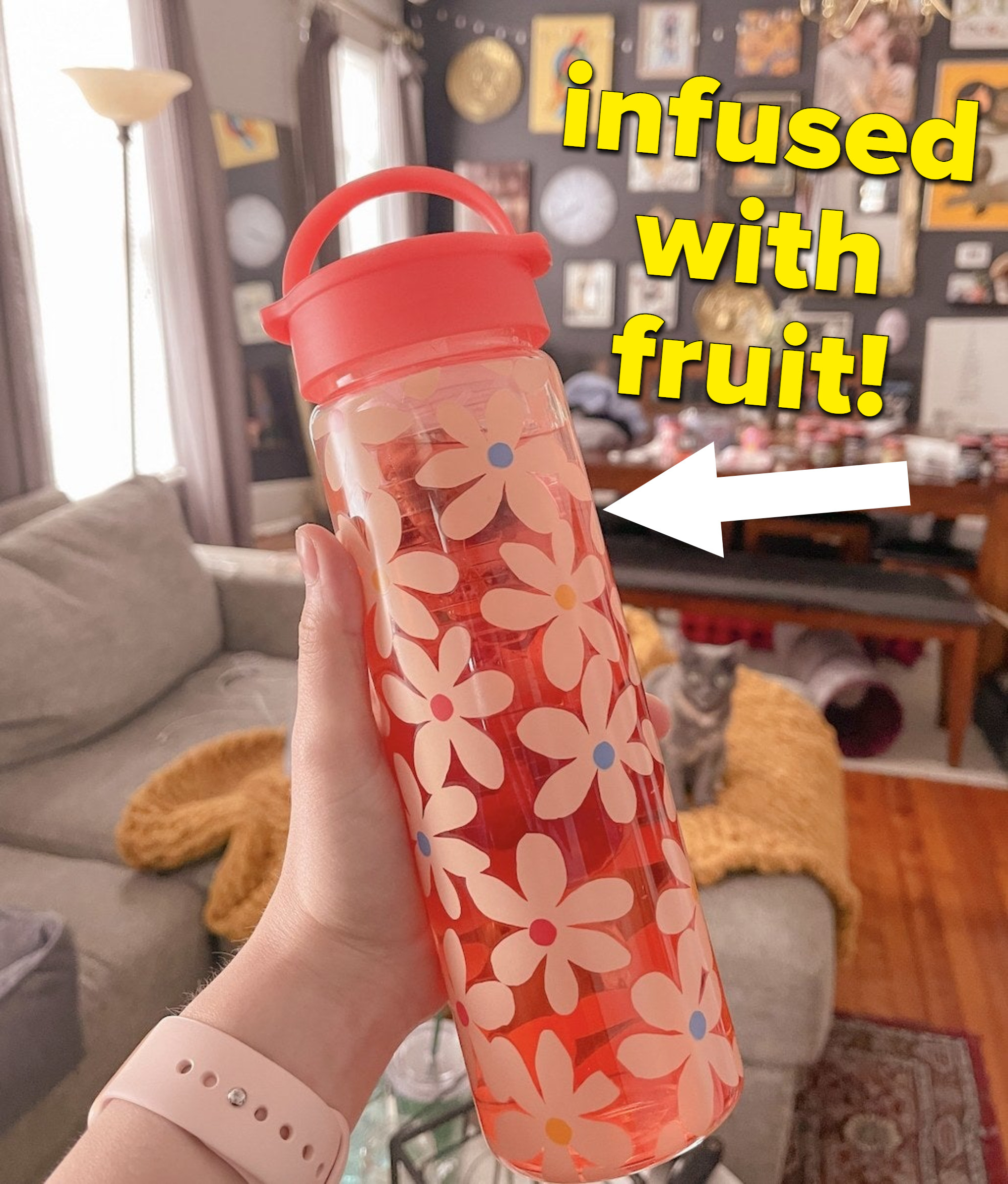 Fruit Infused Water Bottle DEMO 