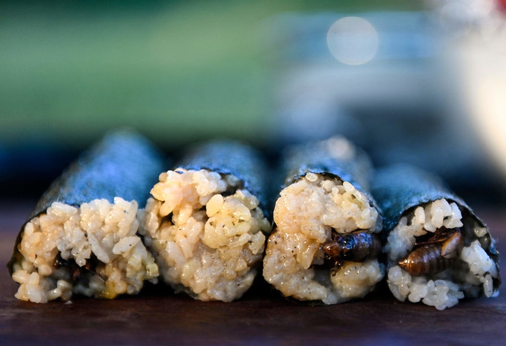 新たな昆虫食 アメリカで大量発生した周期ゼミ タコスや手巻き寿司の材料に