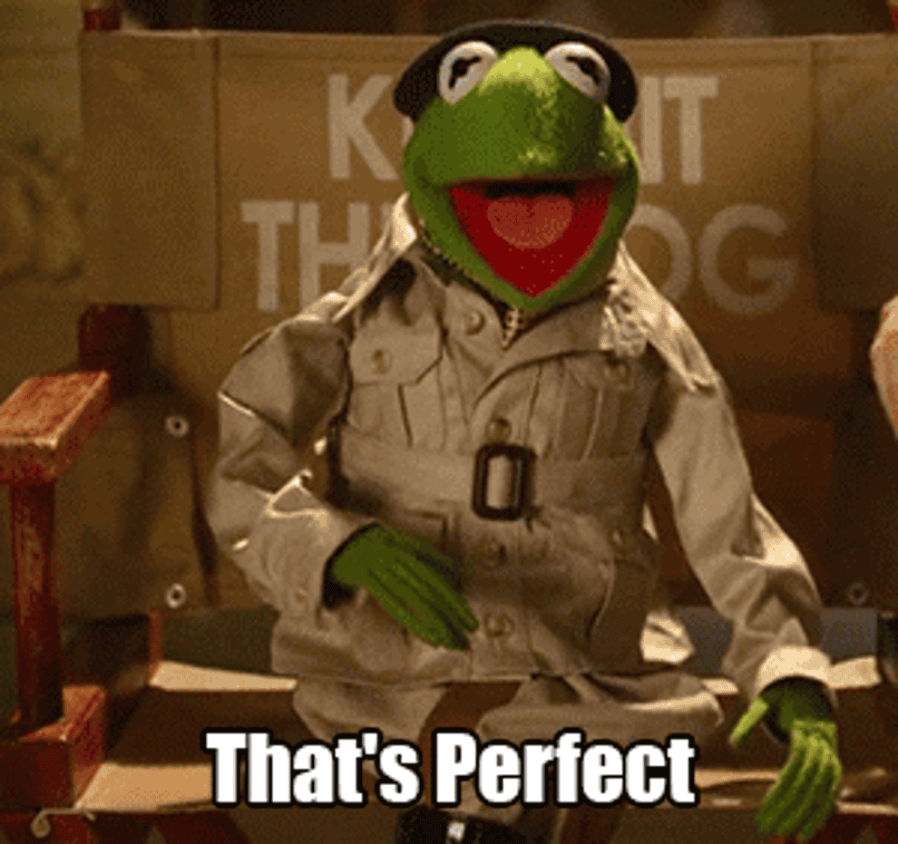 gif of Kermit the Frog saying &quot;that&#x27;s perfect&quot;