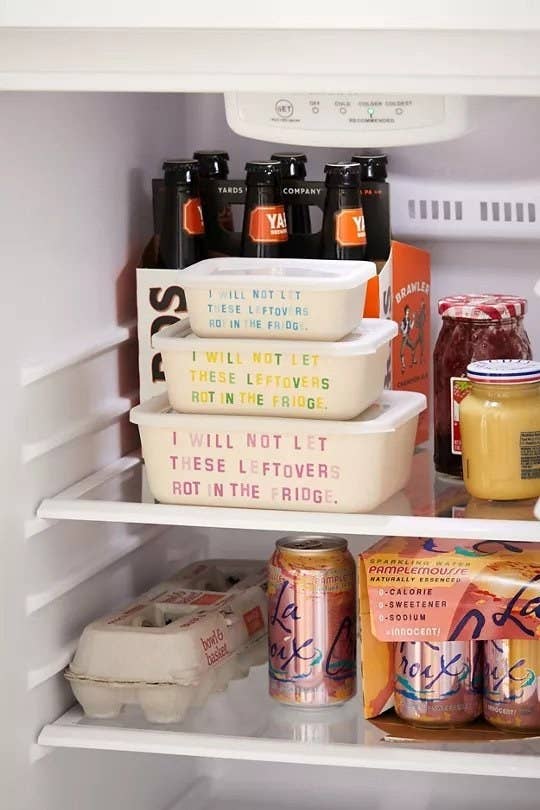 Three ceramic containers in a fridge, with words that read, "I will not let these leftovers rot in the fridge"