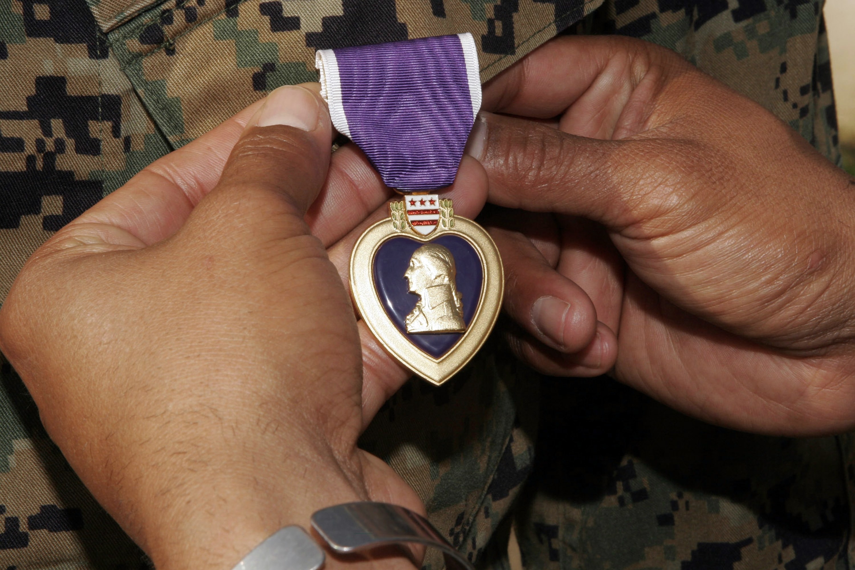 The hands of a commander holding the Purple Heart he was awarded