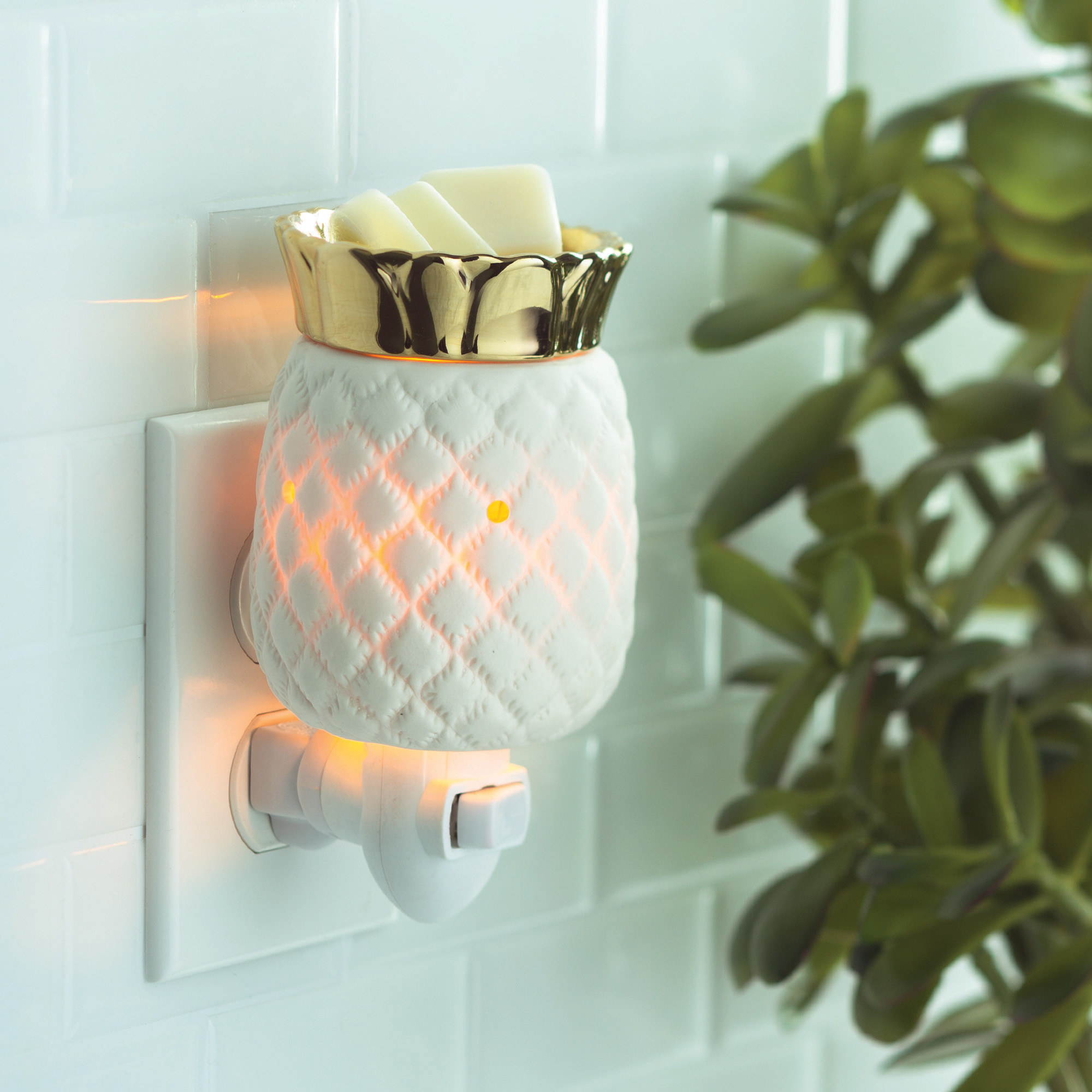 the pineapple warmer plugged into an outlet with wax on the top