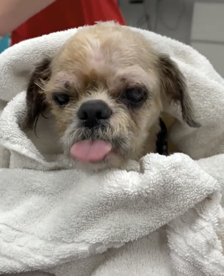 Simon sticking his tongue out as he sits wrapped in towels