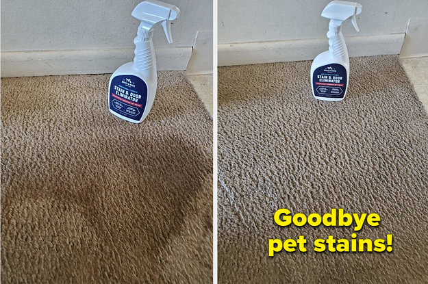 22 Problem-Solving Products For Pet Owners To Check Out This Prime Day
