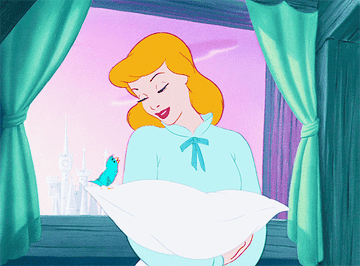 Cinderella hugging her pillow while a bird sits on it.