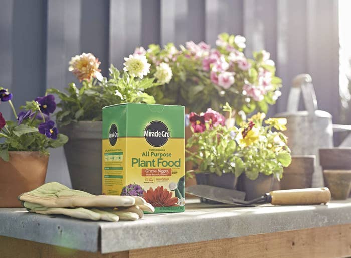 Best 14  Prime Day 2023 Gardening Deals: Shop Plant Deals!
