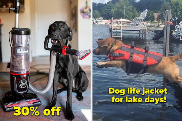 19 Things For Dog Owners To Check Out This Prime Day