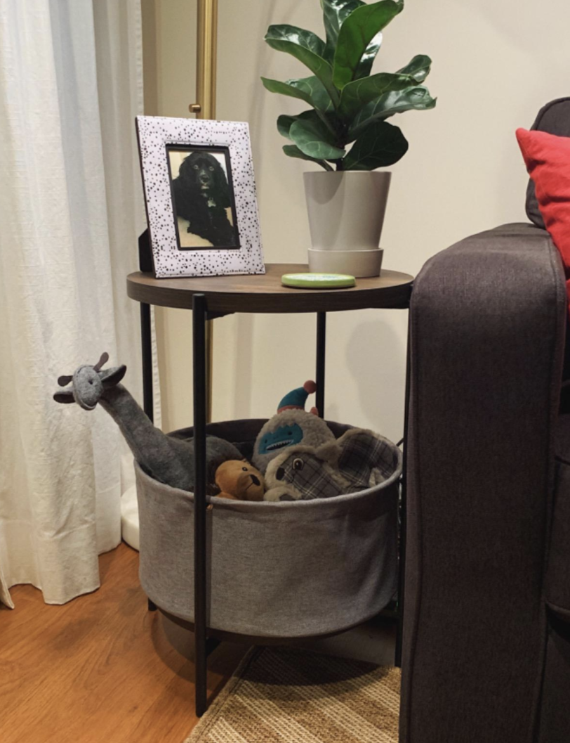Reviewer&#x27;s table holds toys on bottom shelf and displays a photo and a plant on the top shelf