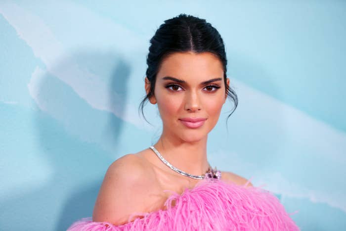 Kendall Jenner poses for the camera at a red carpet event while wearing a silver necklace and a pink fuzzy dress