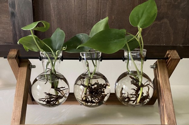 A reviewer's propagation station